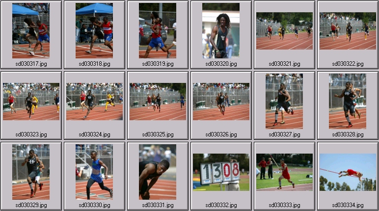 Reggie Bush - men's track