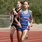 stm muscle definition