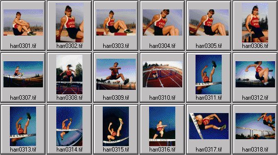 Men's and women's track photos