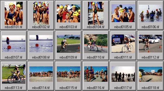 Kid's Triathlon Photos