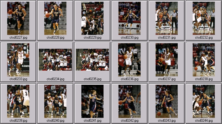 uconn Women's basketball photos