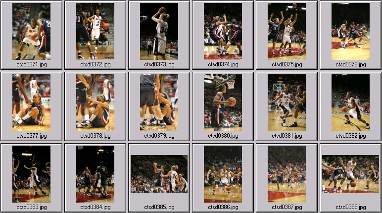 uconn Women's basketball photos