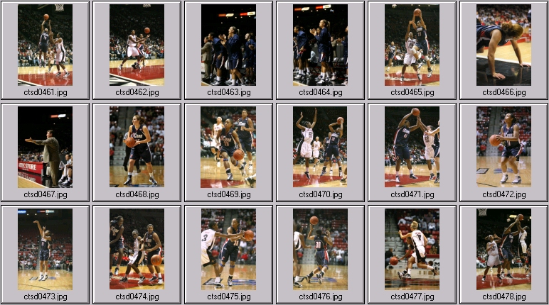 uconn Women's basketball photos