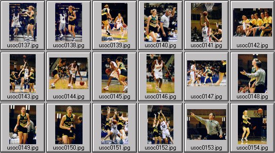 womens basketball photos -- olympic cup