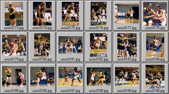 womens basketball photos -- olympic cup