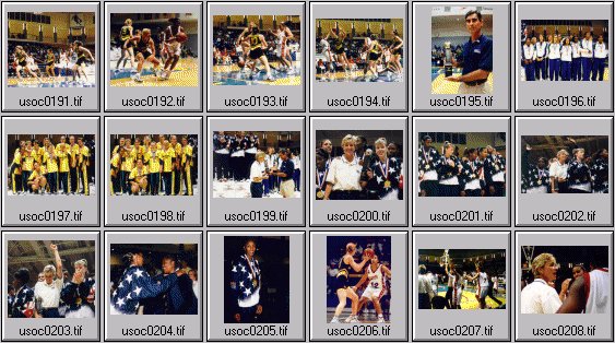 womens basketball photos -- olympic cup