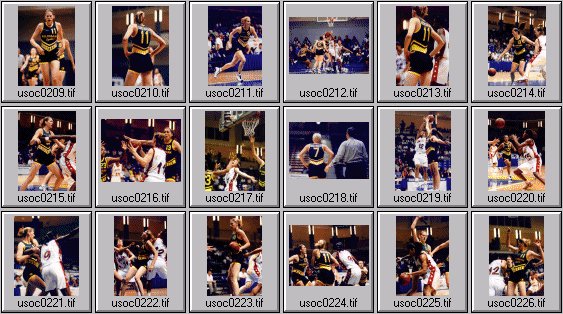 womens basketball photos -- olympic cup