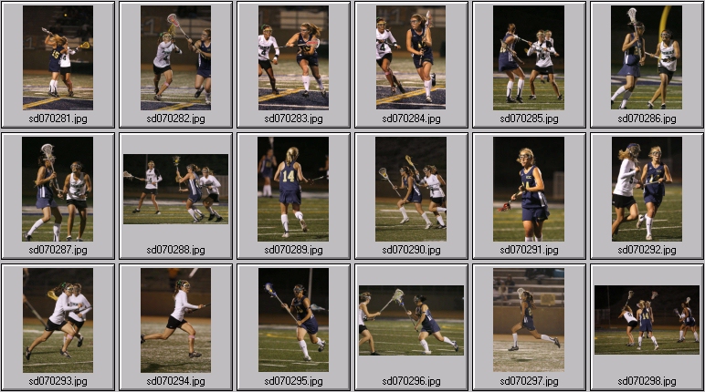 women's lacrosse championship