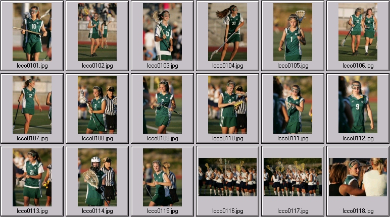 women's lacrosse stock photos