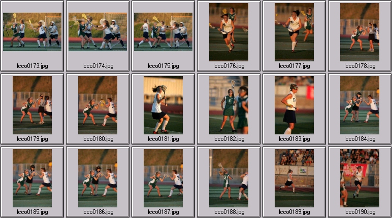 women's lacrosse stock photos