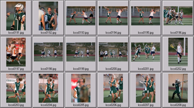 women's lacrosse stock photos