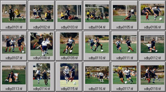 womens sports photos