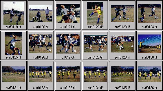 1998 Nike Surf Cup womens soccer photos