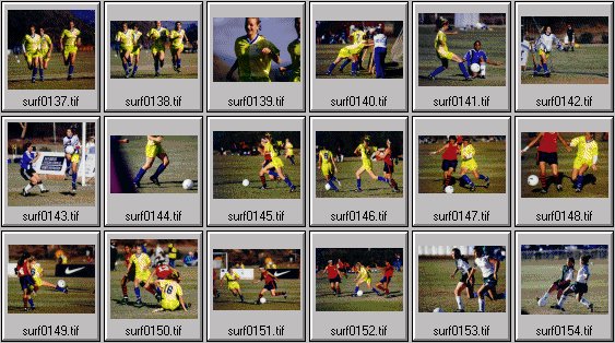 1998 Nike Surf Cup womens soccer photos