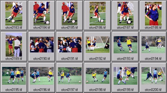 womens soccer pictures