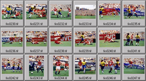 womens soccer photos