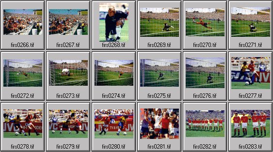 womens soccer photos