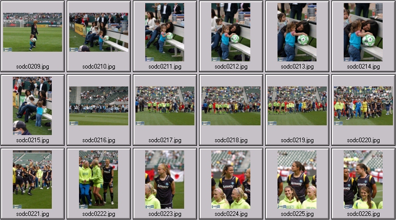 women's professional soccer