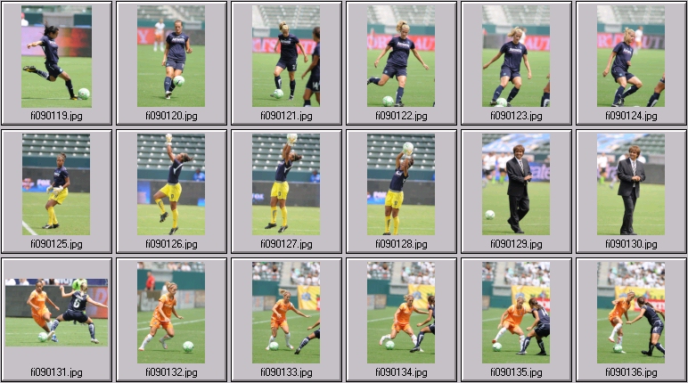 wps championship game