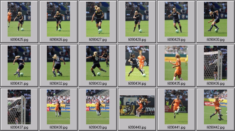 wps championship game