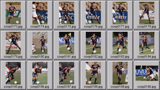 WUSA Women's soccer photos