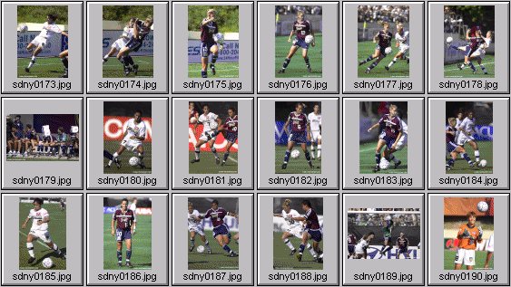 WUSA Women's soccer photos