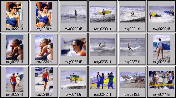 2000 Roxy Wahine women's surfing photos