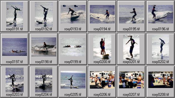 1999 Roxy Wahine women's surfing photos
