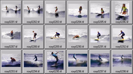 1999 Roxy Wahine women's surfing photos