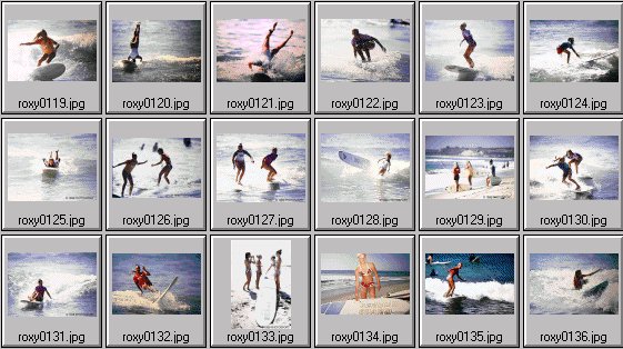 1998 Roxy Wahine womens surf photos