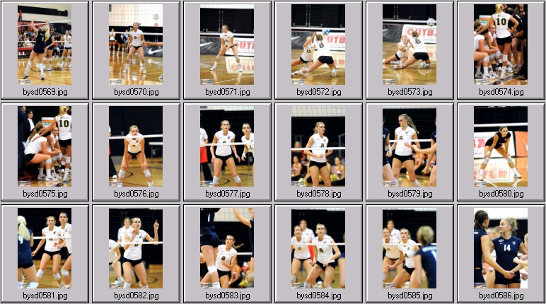 women's collegiate volleyball