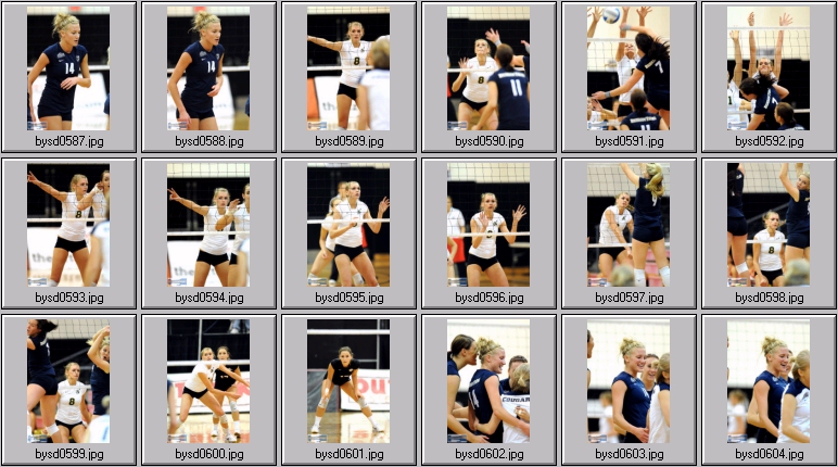 women's collegiate volleyball