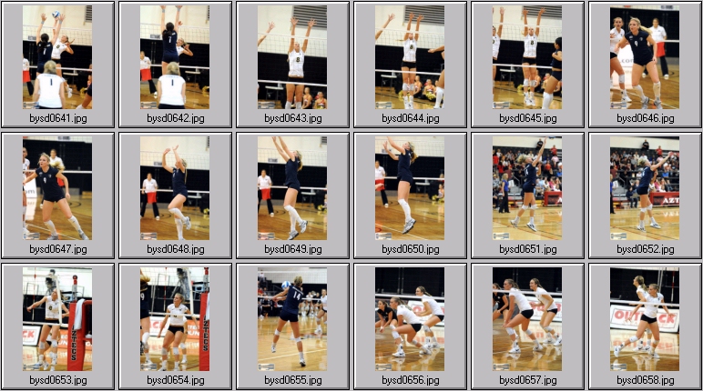 women's collegiate volleyball