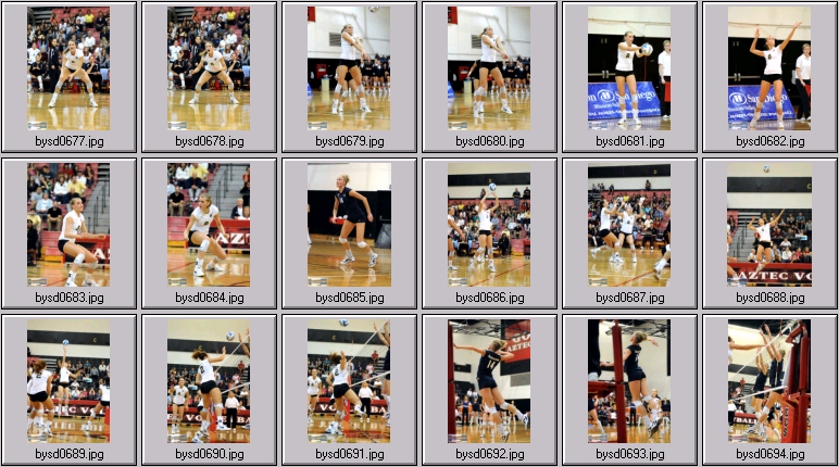 women's ncaa volleyball