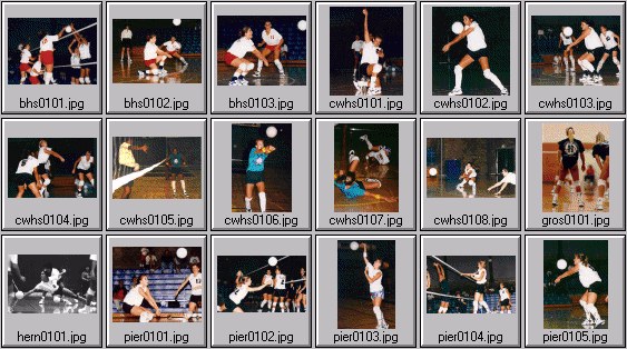 womens volleyball photos