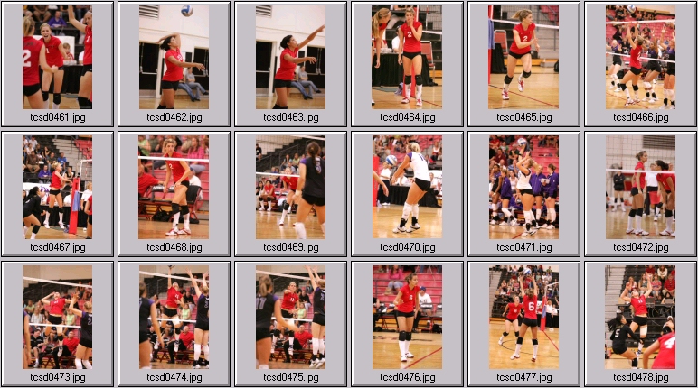 women's volleyball players