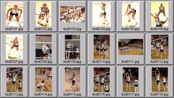 womens volleyball photos