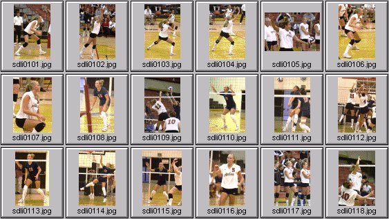 womens volleyball photos