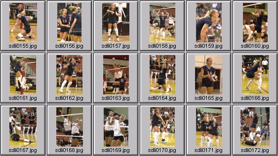 womens volleyball photos