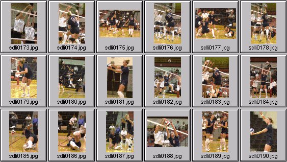 womens volleyball photos
