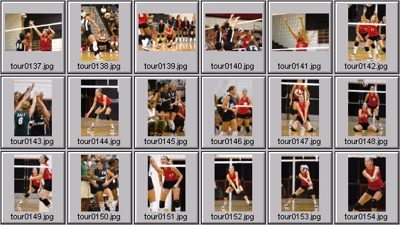 womens volleyball photos